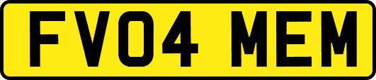 FV04MEM