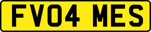 FV04MES