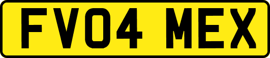 FV04MEX