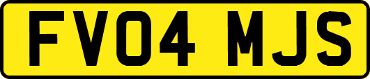 FV04MJS