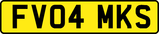 FV04MKS