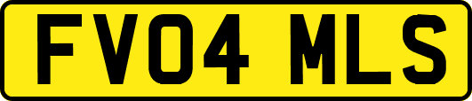 FV04MLS
