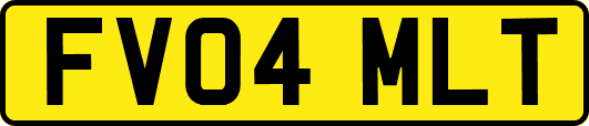 FV04MLT
