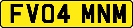 FV04MNM