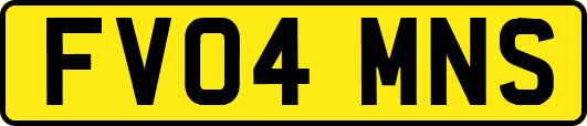 FV04MNS