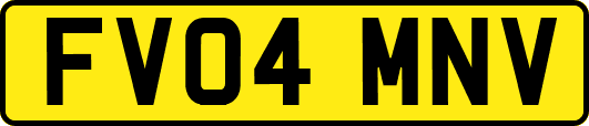 FV04MNV