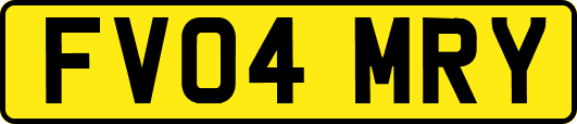 FV04MRY
