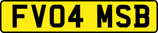 FV04MSB