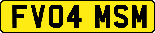 FV04MSM