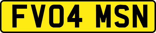 FV04MSN