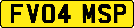 FV04MSP