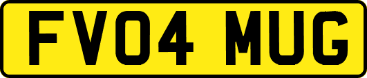 FV04MUG