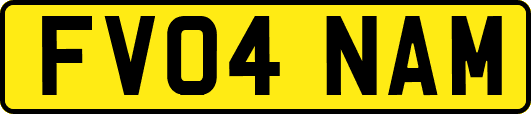 FV04NAM