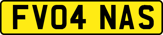FV04NAS