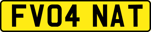 FV04NAT