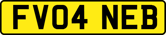 FV04NEB