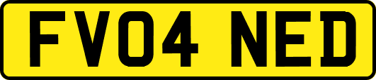 FV04NED