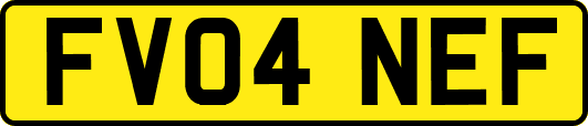 FV04NEF