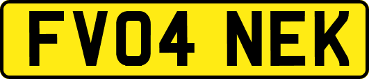 FV04NEK