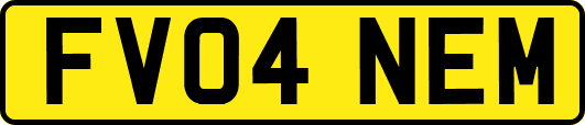 FV04NEM