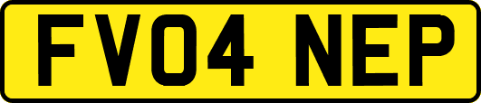 FV04NEP