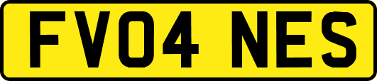FV04NES