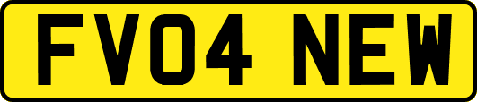 FV04NEW