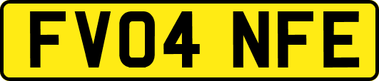 FV04NFE