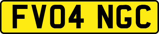 FV04NGC