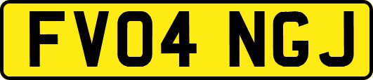 FV04NGJ