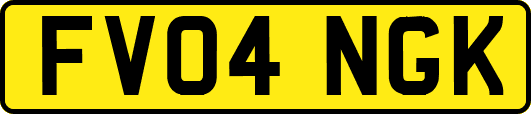 FV04NGK