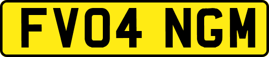FV04NGM