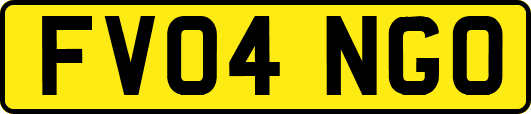 FV04NGO