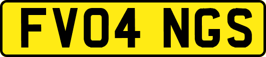 FV04NGS