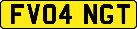 FV04NGT