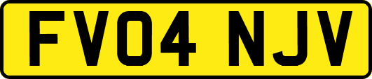 FV04NJV