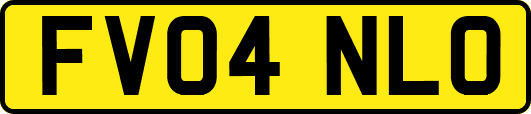 FV04NLO
