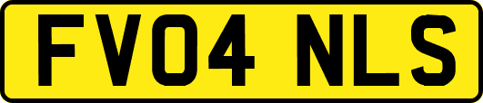 FV04NLS