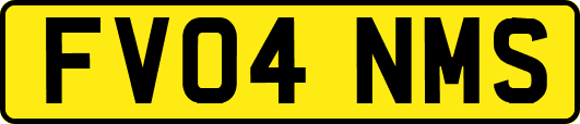 FV04NMS