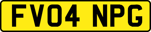 FV04NPG