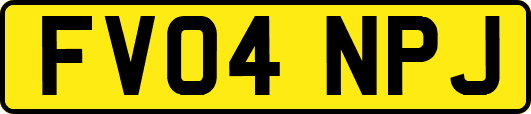 FV04NPJ