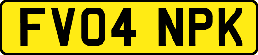 FV04NPK