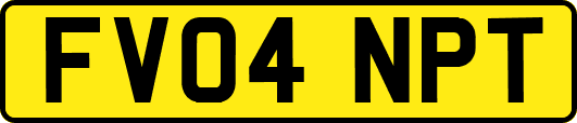 FV04NPT