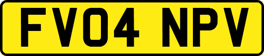 FV04NPV