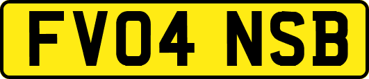 FV04NSB