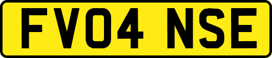 FV04NSE
