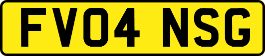 FV04NSG