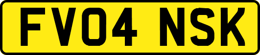 FV04NSK
