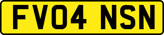 FV04NSN