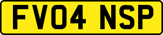 FV04NSP